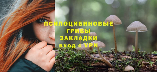 стаф Алексеевка