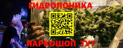 ПСИЛОЦИБИНОВЫЕ ГРИБЫ Лесосибирск