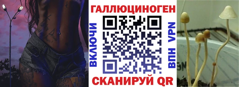 Галлюциногенные грибы мицелий  магазин  наркотиков  Шадринск 