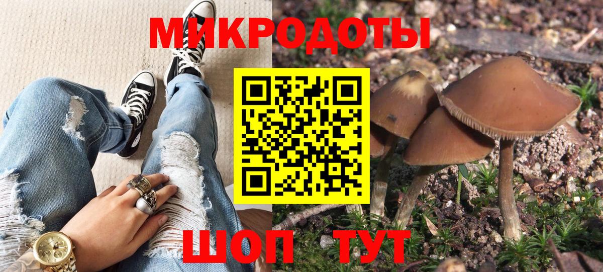 Галлюциногенные грибы Psilocybine cubensis  Вход с VPN  Шадринск 