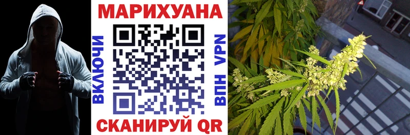 сайты даркнета как зайти  Шадринск  Конопля сатива 